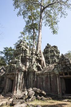 Ta Phrom. Siem Reap. Cambodia