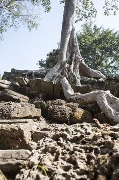 Ta Phrom. Siem Reap. Cambodia