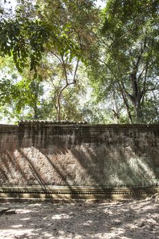 Ta Phrom. Siem Reap. Cambodia