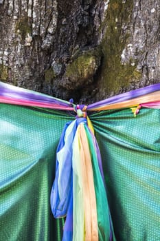 Faith tree with holy fabric