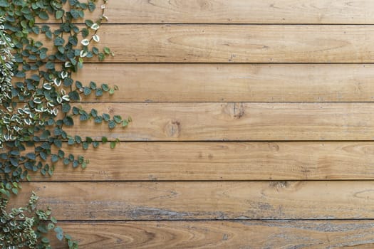 Tree on Wood planks texture background wallpaper