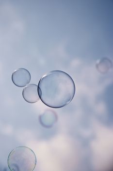 Flying soap bubbles in the air