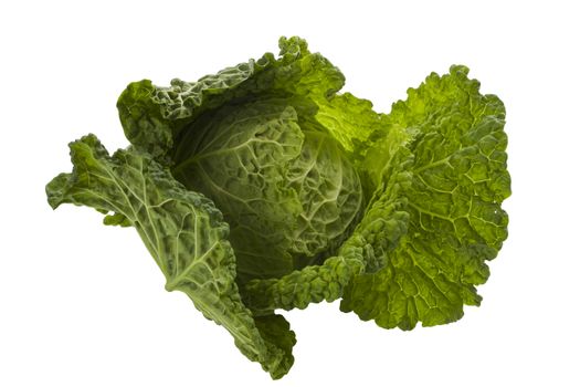 Fresh green cabbage isolated on white background