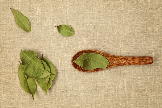 Bay leaves on wooden spoon on natural background - top view.