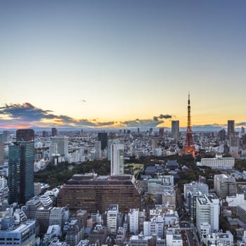 Tokyo top view sunset. Japan