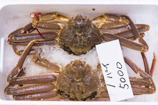 Japan stock photo crabs