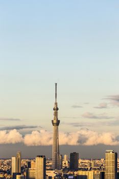 Tokyo cityspace sunset view