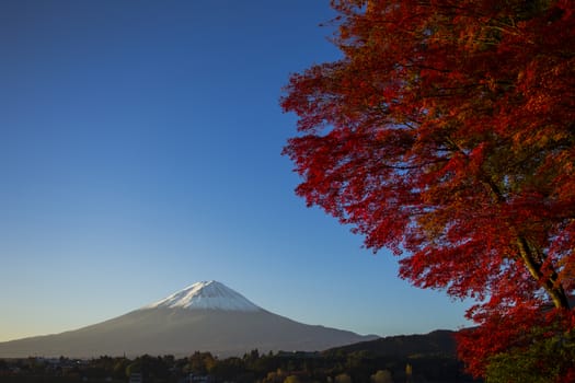 Mount Fuji with red autumn leaf. Japan