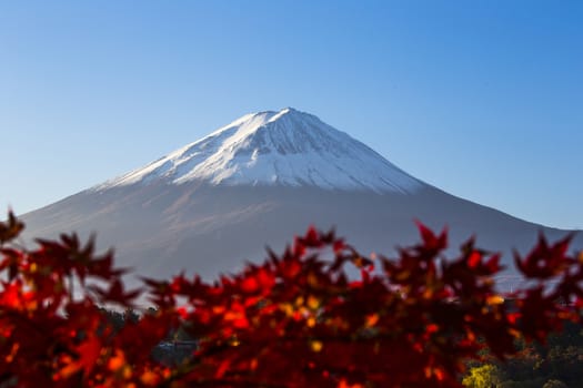 Mount Fuji with red autumn leaf. Japan