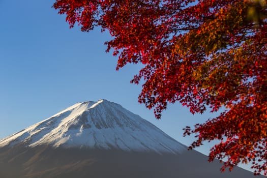 Mount Fuji with red autumn leaf. Japan