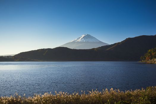 Mount Fuji with lake view