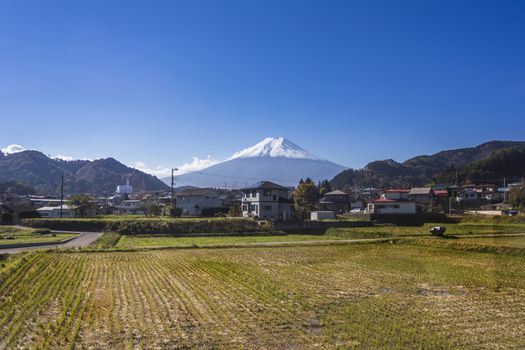 Mt. Fuji with country home and rice field.