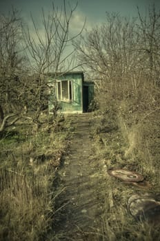 In an Enchanted Garden Plot