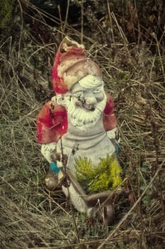 In an Enchanted Garden Plot