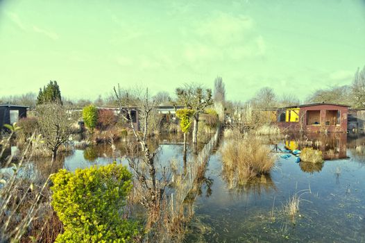 In an Enchanted Garden Plot