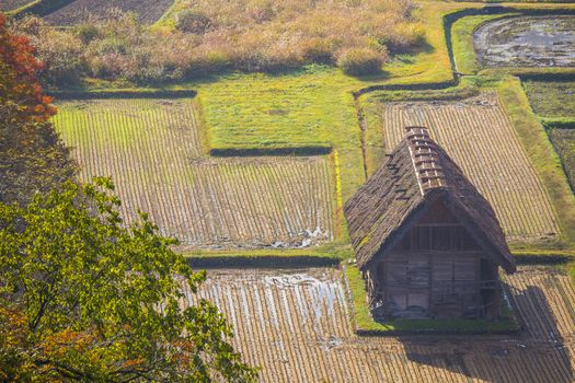 Cottage and rice field in small village shirakawa-go japan. autumn season