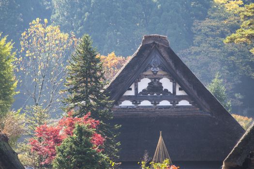 Cottage and rice field in small village shirakawa-go japan. autumn season