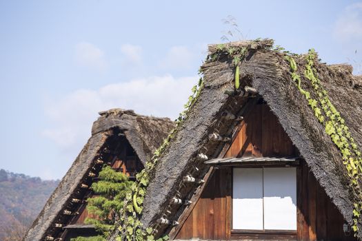 Cottage and rice field in small village shirakawa-go japan. autumn season