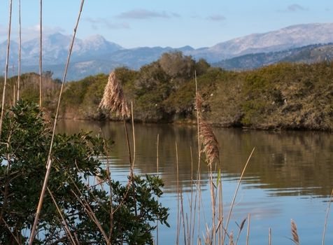 Albufeira water mirror for bird orientation, Majorca, Balearic islands, Spain.