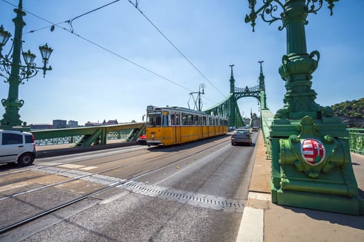 View of Liberty Bridge over Danube, Budapest, Hungary