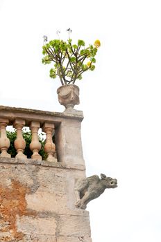 Gargoyle in the corner of a building in rural Majorca, isolated on white. Majorca, Balearic islands, Spain.