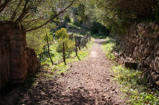 Mallorca landscape in the mountains above Soller. Mallorca, Balearic islands, Spain