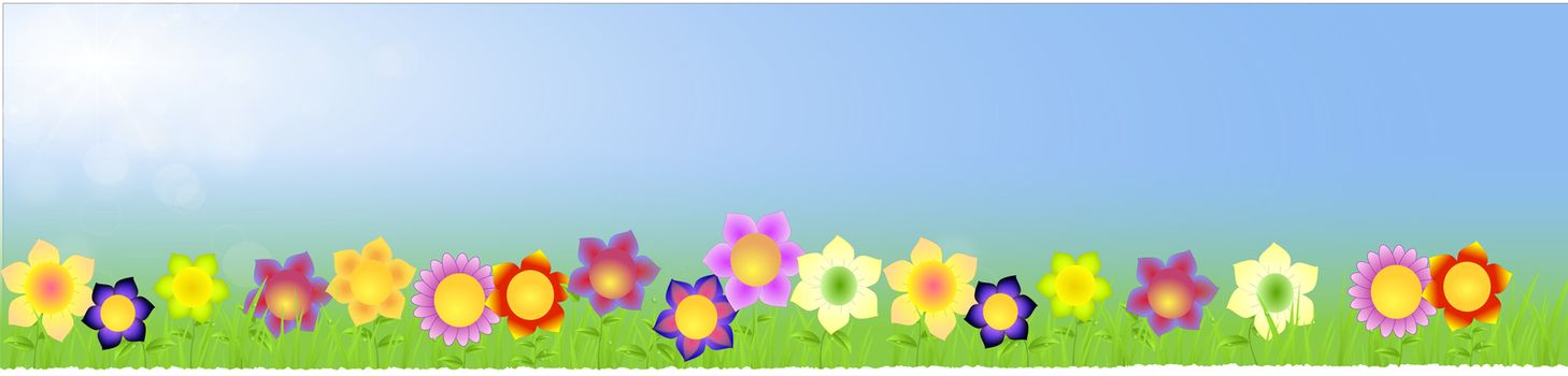 Banner with big flowers with space text within on the blue sunny background with grass,raindrops,leaves as spring landscape