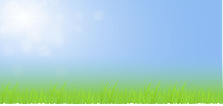 Green grass with blue sky landscape with ray of lights