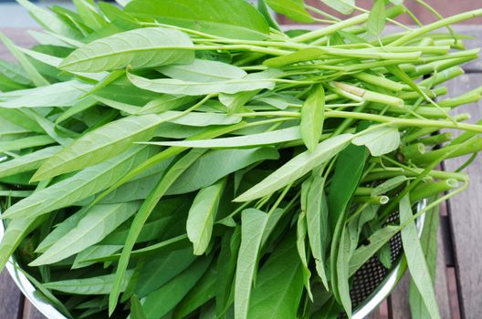 A bouquet of Water spinach in  metallic bowl