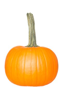 Fresh orange pumpkin isolated on white background