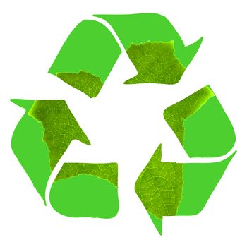 Recycle sign made with green leaf on white background
