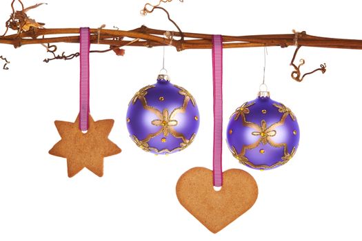 Luxurious christmas balls and gingerbread cookies hanging on decorative vineyards branch isolated on white background. Natural christmas still life.
