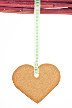 Homemade gingerbread heart hanging from branches isolated over white background. Traditional christmas concept.