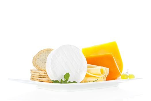 Luxurious cheese variation on white tray isolated on white background. Luxurious cheese still life background.