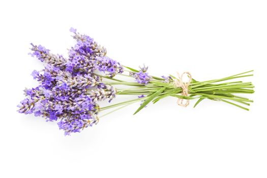 Lavender bunch bound with brown string isolated on white background.