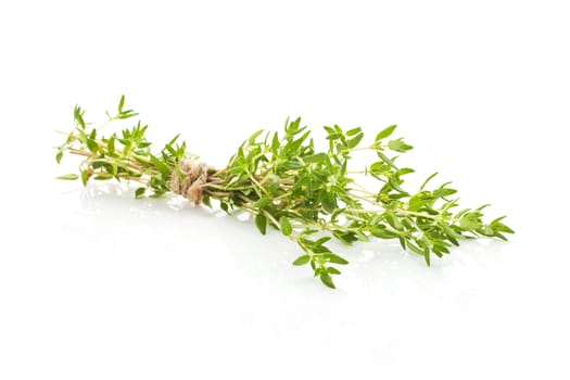 Thyme bound with brown string isolated on white background. Culinary aromatic herbs.