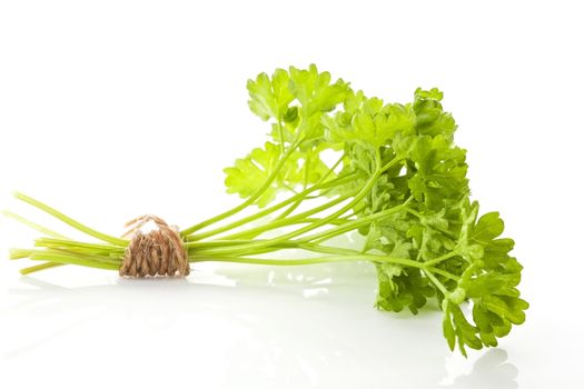 Fresh organic curly parsley bunch bound with brown twine isolated on white background. Aromatic culinary herbs.