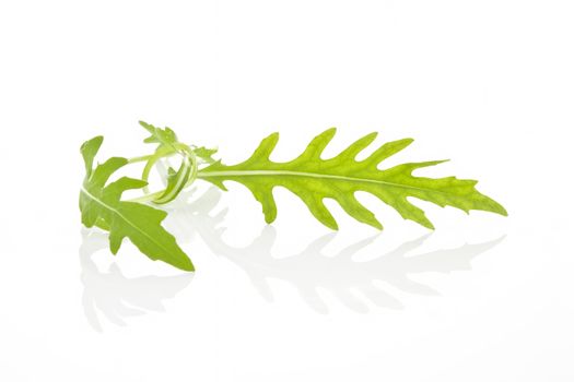 Arugula leaves isolated on white background. Organic culinary herbs.