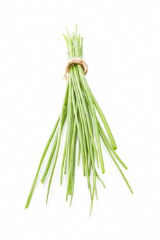 Fresh raw organic chive bunch isolated on white background. Aromatic culinary herb concept.