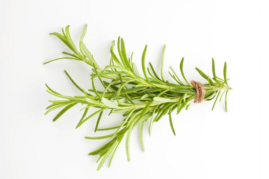 Rosemary bunch bound with brown twine isolated on white background. Culinary aromatic herbs.