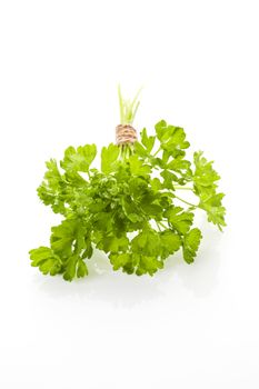 Curly parsley bunch isolated on white background. Aromatic culinary herbs. 