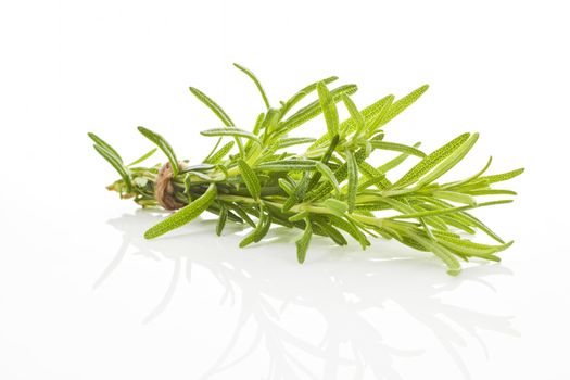 Rosemary bunch bound with brown twine isolated on white background. Culinary aromatic herbs.