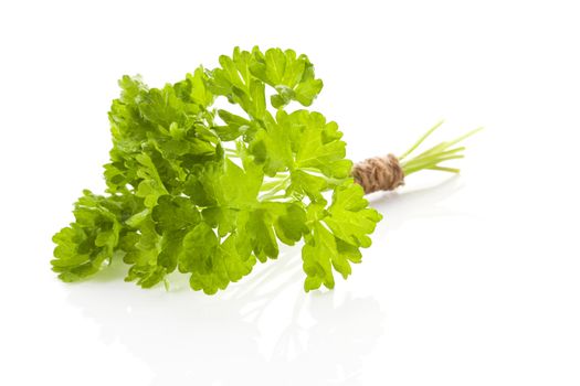 Fresh curly parsley bunch bound with brown twine isolated on white background. Culinary aromatic herbs.