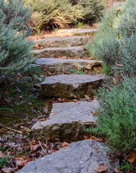 Garden path on large slabs of rock in golden sunshine.