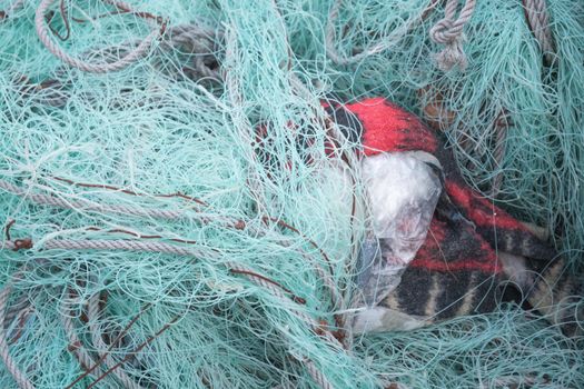 Mint green fishing nets and red details.
