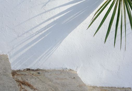 White wall with palm shadow, Mallorca, Balearic islands, Spain.