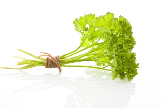 Curly parsley bundle bound with brown twine isolated on white background.