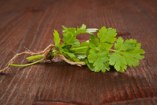 Fresh organic coriander bunch bound with brown twine on brown wooden background. Culinary herb concept.