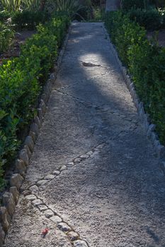 Peaceful garden path with gravel and zigzag stone pattern.