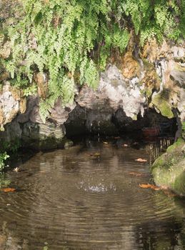 Thin stream of water falling into a pond with maidenhair fern growing on top.